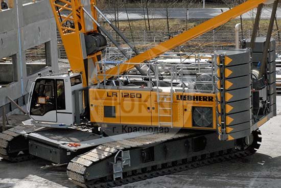 -s-reshetchatoj-machtoj-Liebherr-LR-1250-s-gruzopodemnostyu-do-250-t